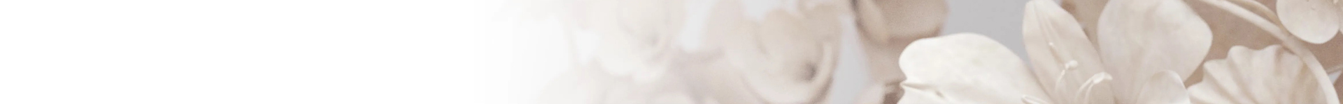bonepain-banner